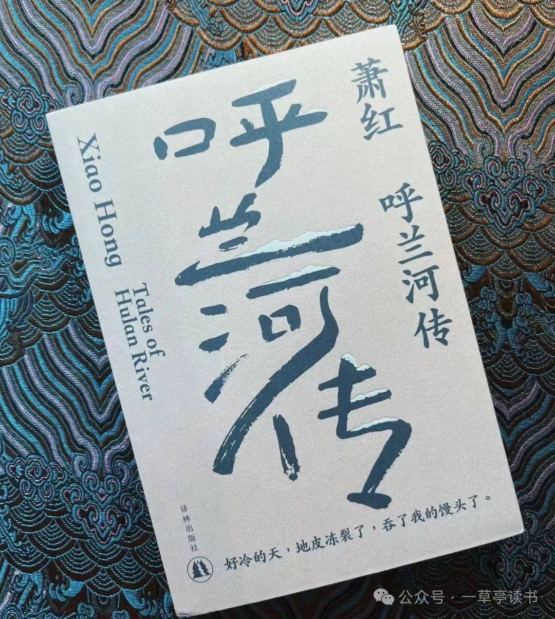 《呼兰河传》:人生为何如此悲凉_萧红_小城_孩子