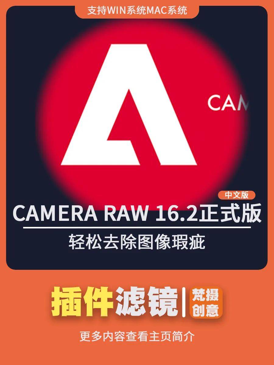 camera raw 16.2中文正式版_进行_文件_操作