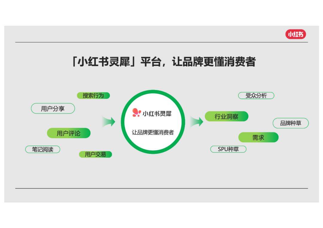 2024小红书×合生元年度私享会:灵犀产品介绍及建议pdf_品牌_平台