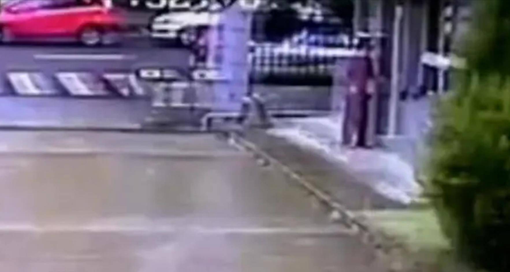 2018年保安撵走未栓绳的松狮狗,狗主人索赔数十万,最终结局如何_杨云