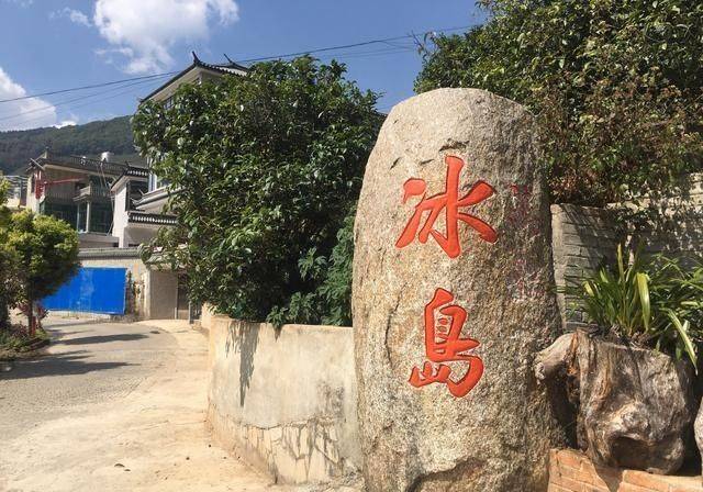 茶界香妃—2020年冰岛五寨普洱生茶,纯正冰糖韵_茶叶_生活_口感