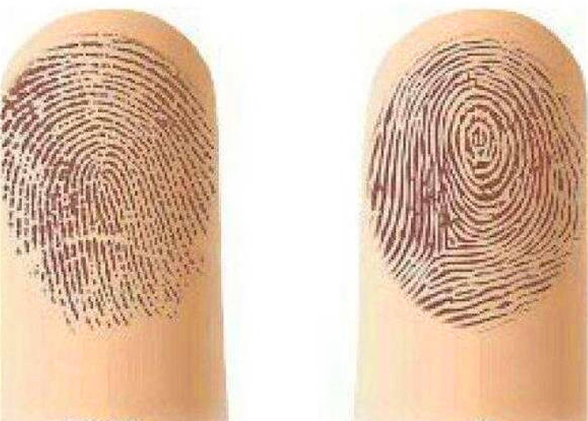 如果一个人的手指纹路是两螺那就代表这个人不是大富就是大贵,"三螺四