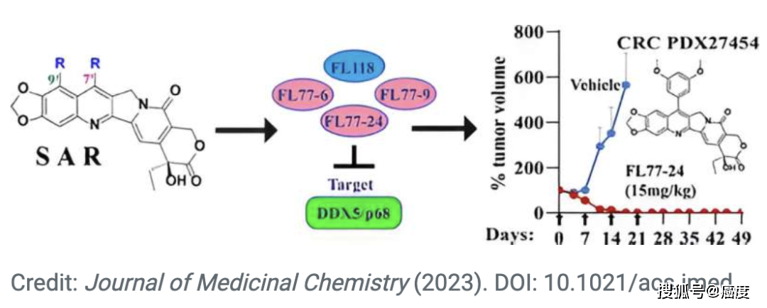 源自中药喜树碱的fl118被美国fda授予治疗胰腺癌的孤儿药资格!