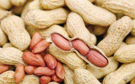 吃生花生和吃熟花生,有什么区别?医生说出答案,很多人或吃错了_脂肪_