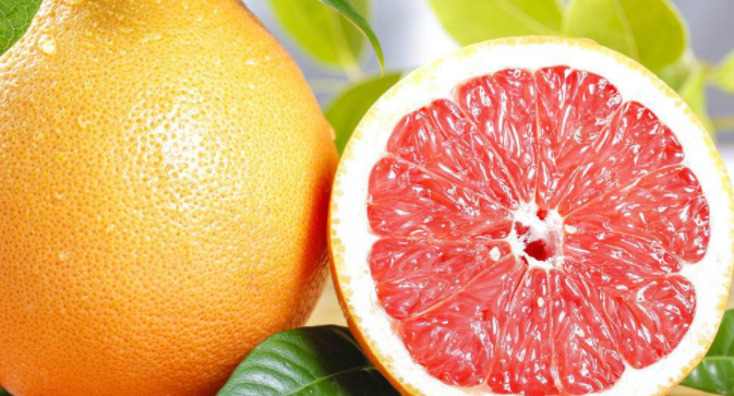 作为一种最受欢迎的水果——葡萄柚,其富含的维生素c正是人体所需要的