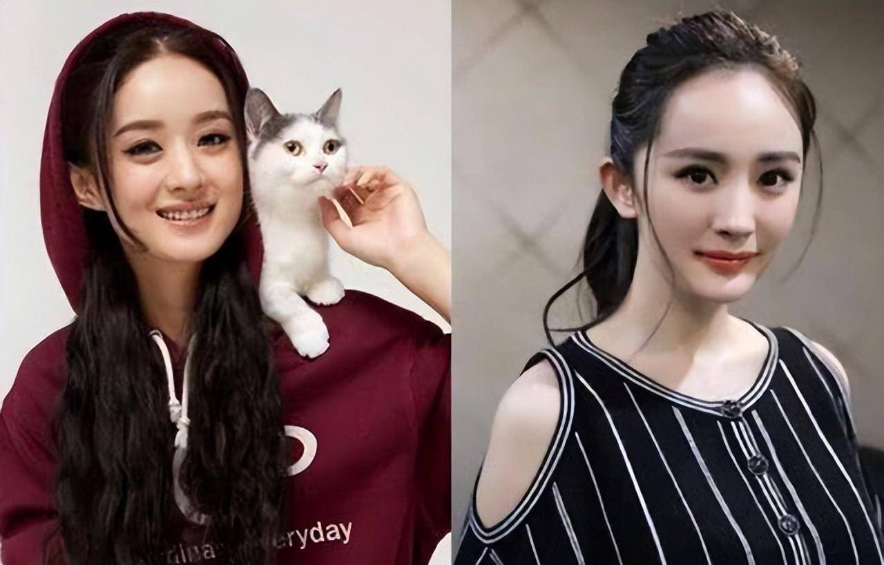 杨幂vs赵丽颖,有人傻傻分不清楚,谁的颜值更胜一筹?_质疑_状态_发展