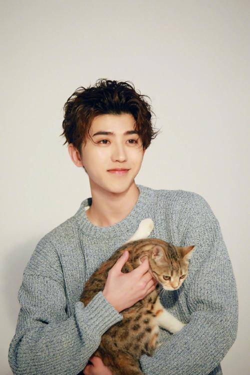 众所周知,从去年开始,蔡徐坤一直备受媒体关注,原因主要是与前女友的