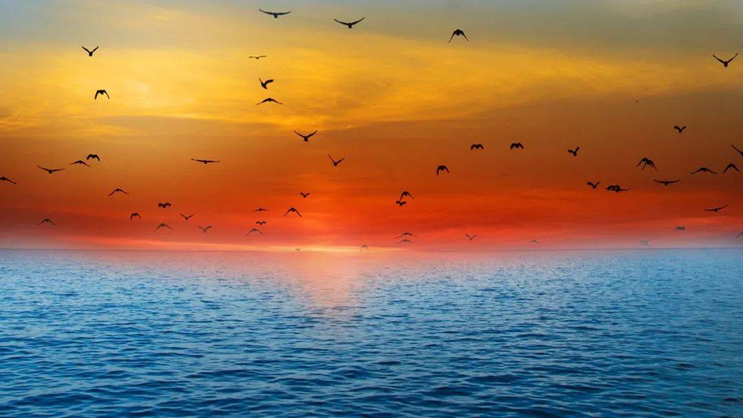 "考虫们"的狂飙与落幕,在线教育的"冰与火之歌"_业务_直播_大学生