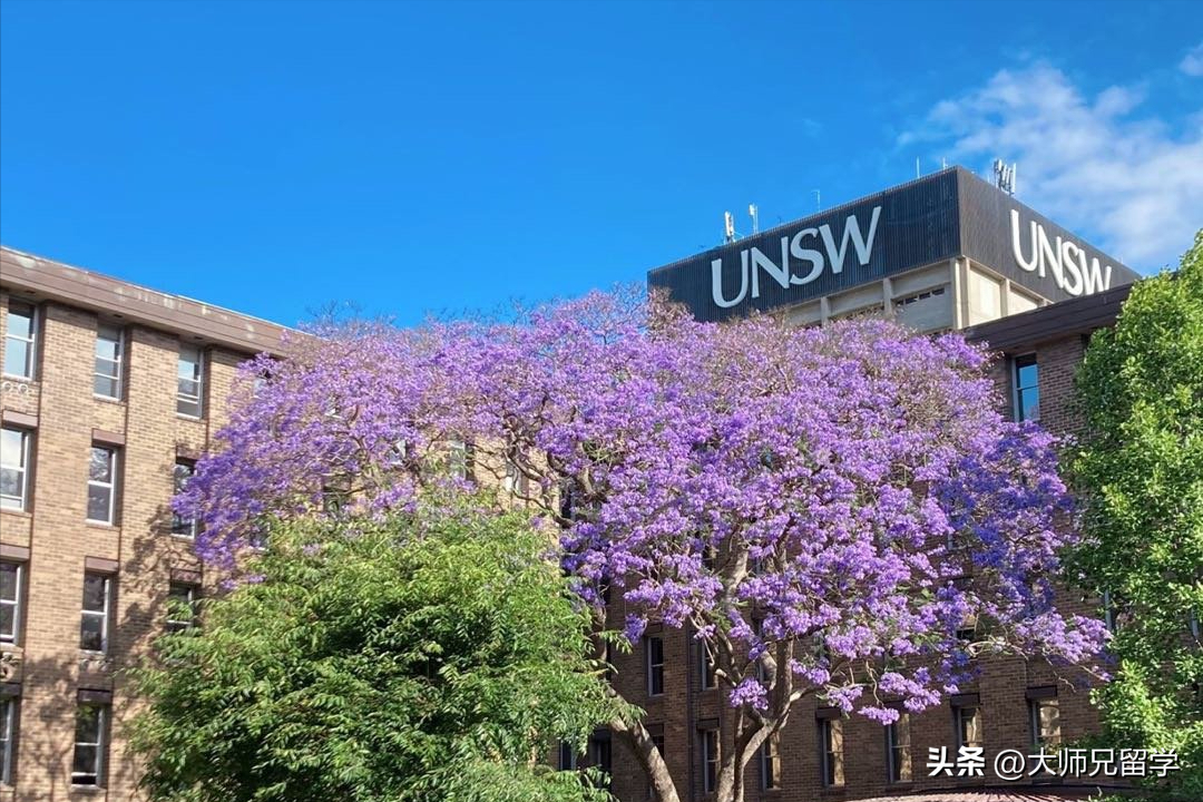 计算机大学排名最好的大学_计算机排名大学排名_排名计算机大学前十