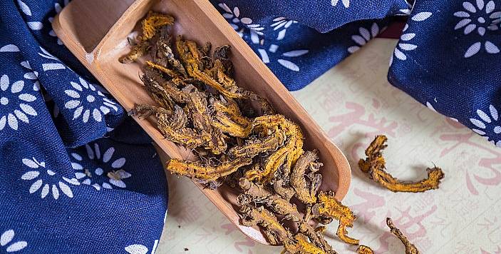 治疗失眠的中药你知道吗?_养生_食材_睡眠