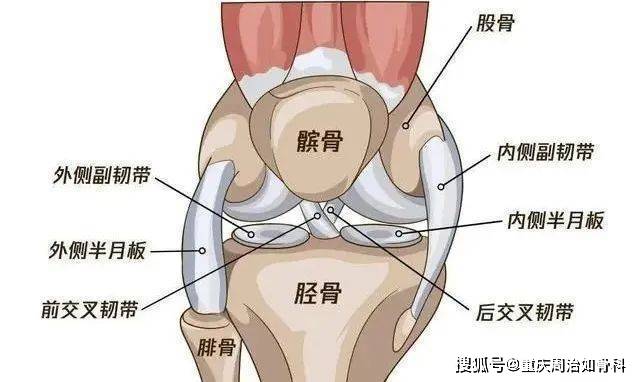 内侧,外侧,前部,后部…膝盖疼痛部位不同,病因各异!