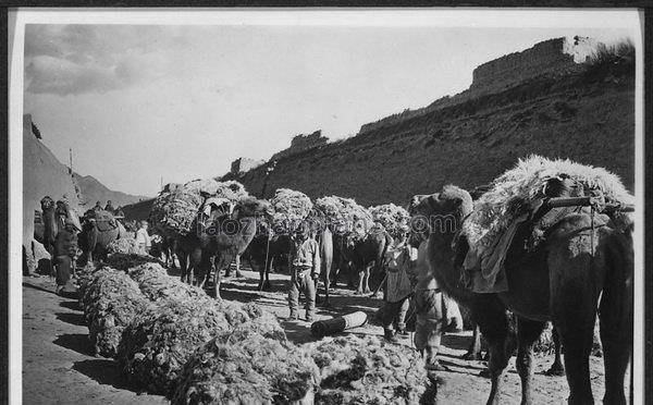 1925年青海湟源丹噶尔古城老照片 那曾经的茶马商都_羊毛_丹葛尔_地区