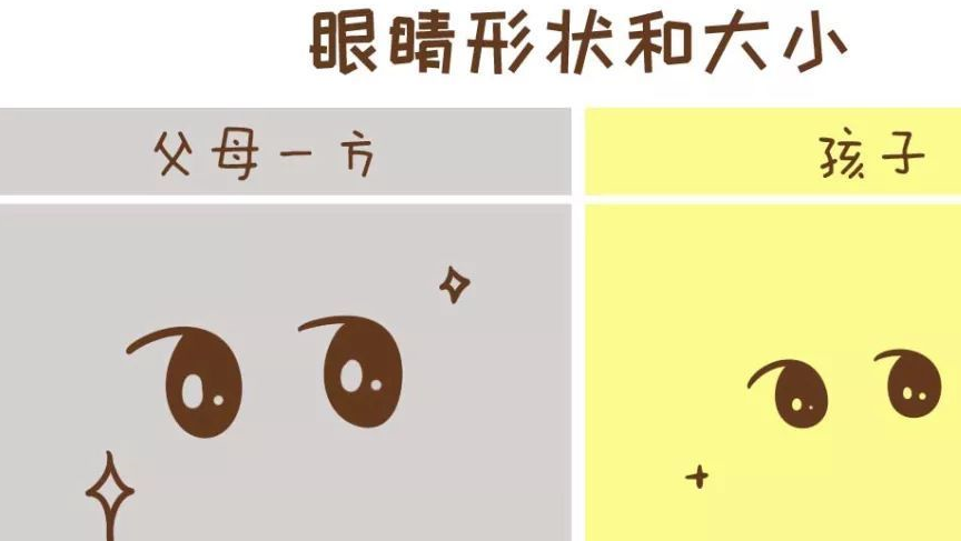 你的哪些长相特征会遗传给孩子?看完这组图你就明白了!