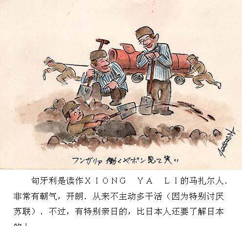 一名关东军俘虏回忆在苏联的遭遇_日本_漫画_士兵