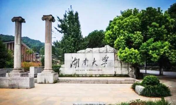 事实上,湖南大学作为985高校,最近几年一直有聘请90后毕业生为高校副