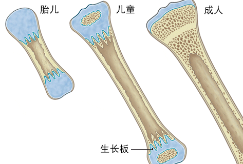 十个孕妈九个都交过这些智商税!