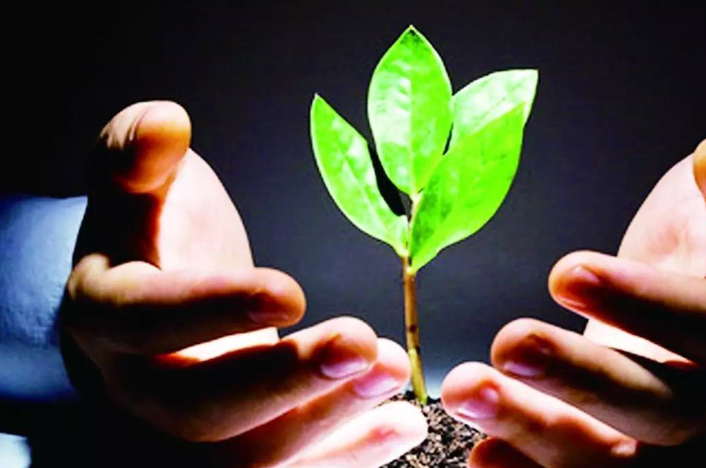 只有当了老板才能实现人生价值_狮子座_发展_雄心壮志