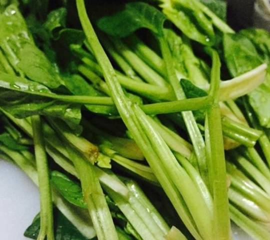 菠菜_影响_草酸