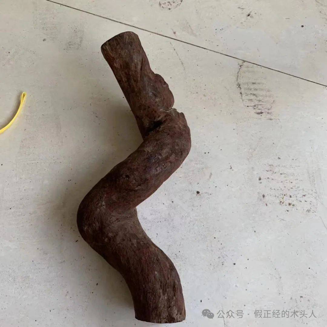 海南黄花梨(一)海南黄花梨认知(3)部位:树根_纹理_副根_树干