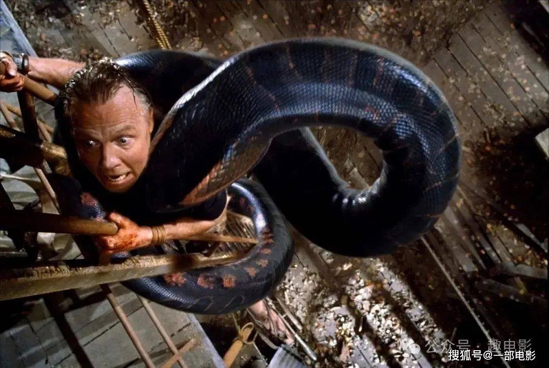 可能是像我一样害怕蛇的人很多吧,很多影视作品中也有将蛇当做恐怖