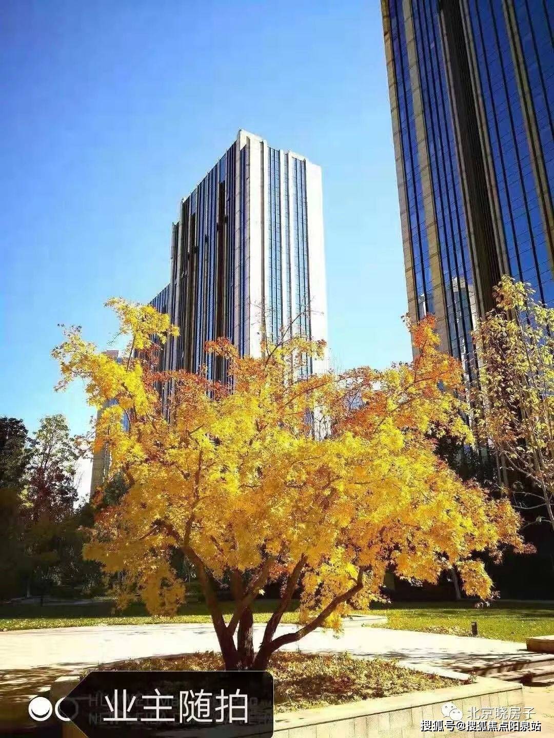 私享3300㎡主题会所,涵盖国际标准泳池,健身区,棋牌室,瑜伽室等,全