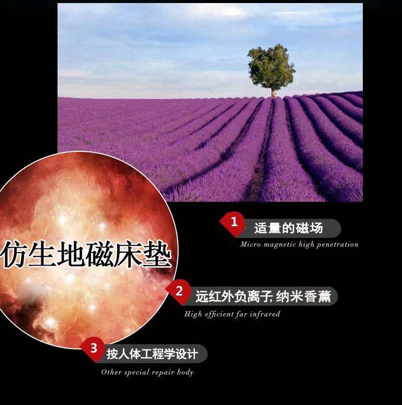 中佰康仿生地磁寝具 助您实现健康睡眠的幸福之路_床垫_人们_梦想