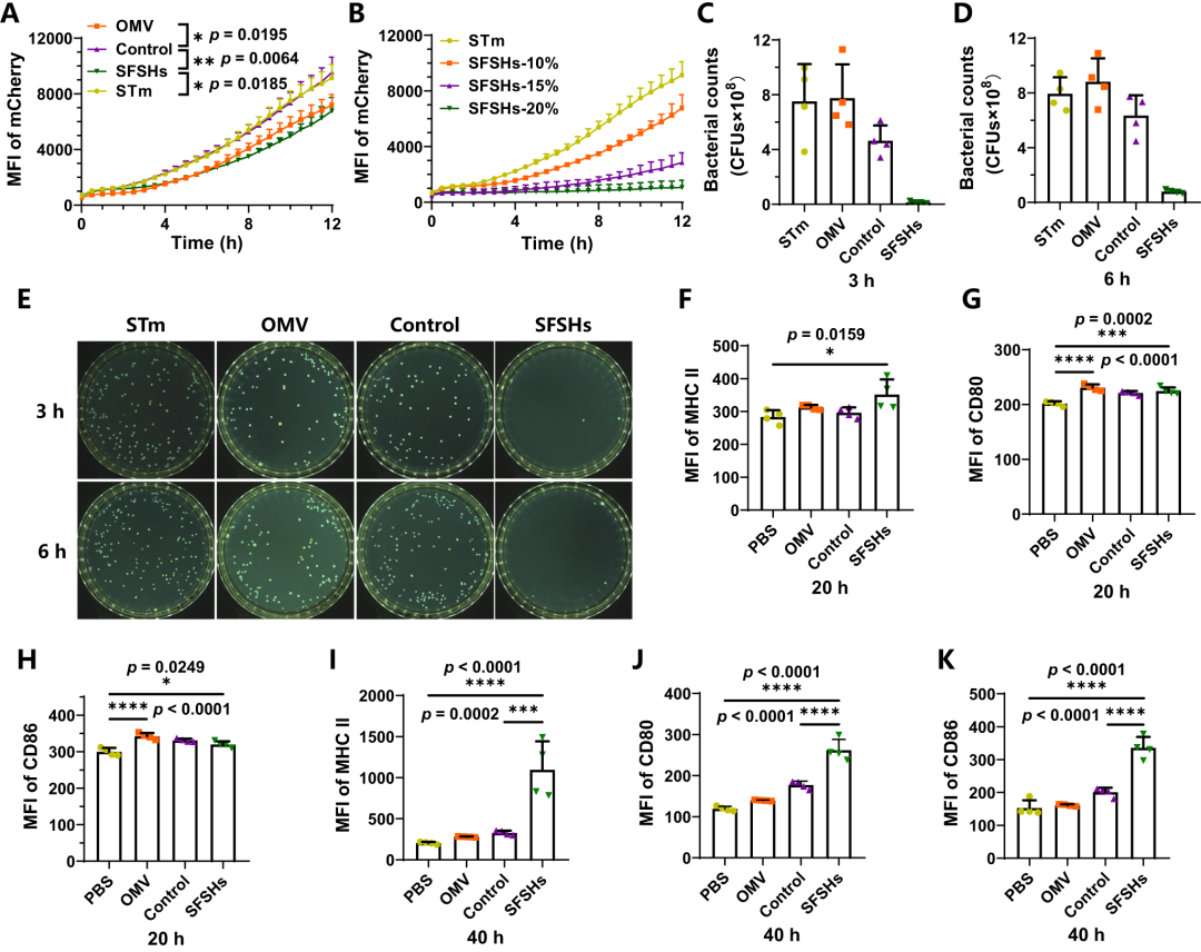 细胞膜_结构_功能