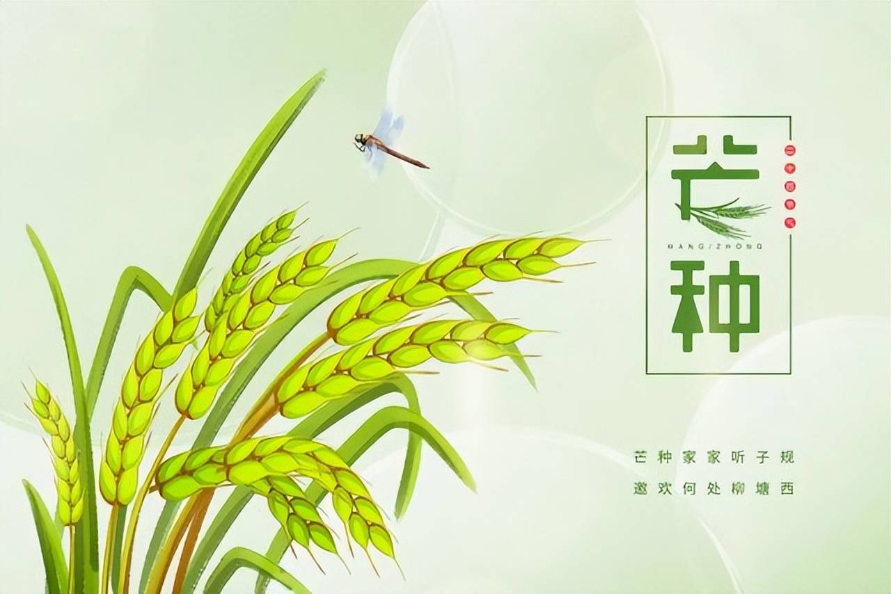 二十四节气,24张美图,24首诗词,又被中式美学惊艳
