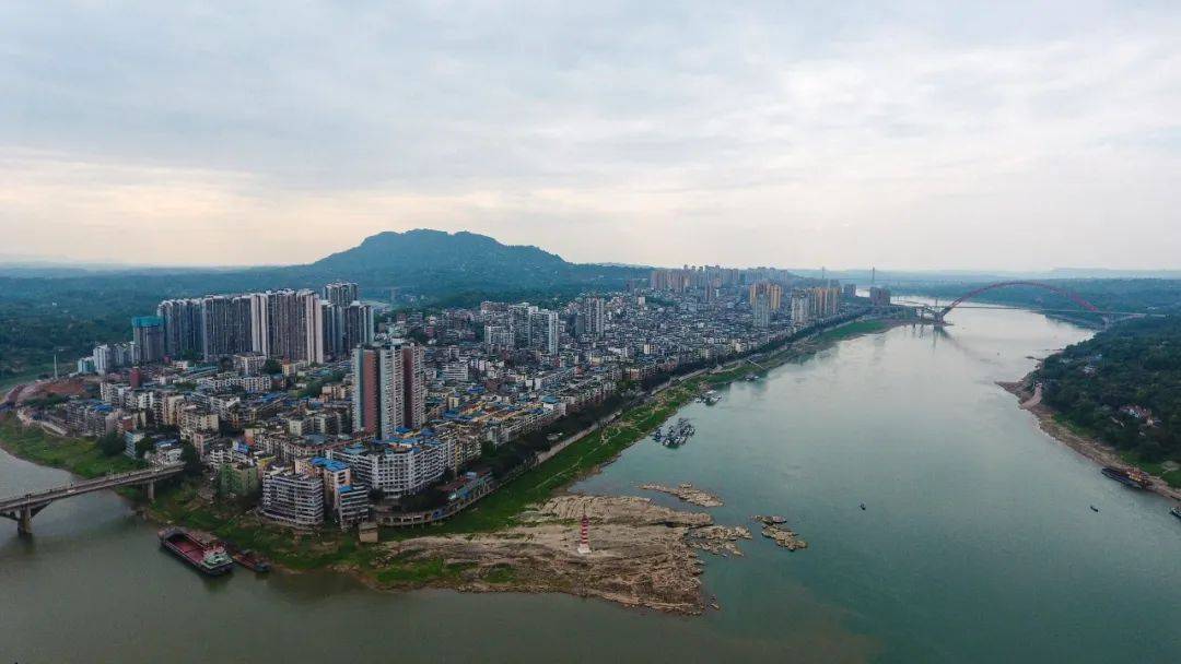 合江县机关事务管理办公室报废资产处置公告_竞价_单位_成交