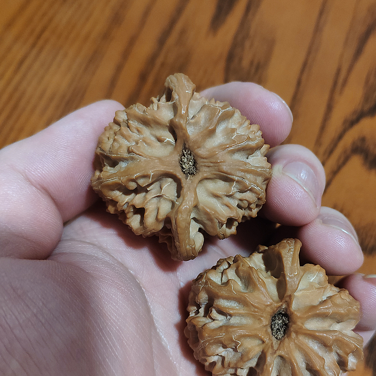 刚买来的白茬核桃要先把这些事情干完,我们才能不瞻前顾后地盘玩_文玩