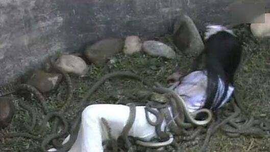 在古代传说中,有种刑罚名字叫"虿盆之刑".