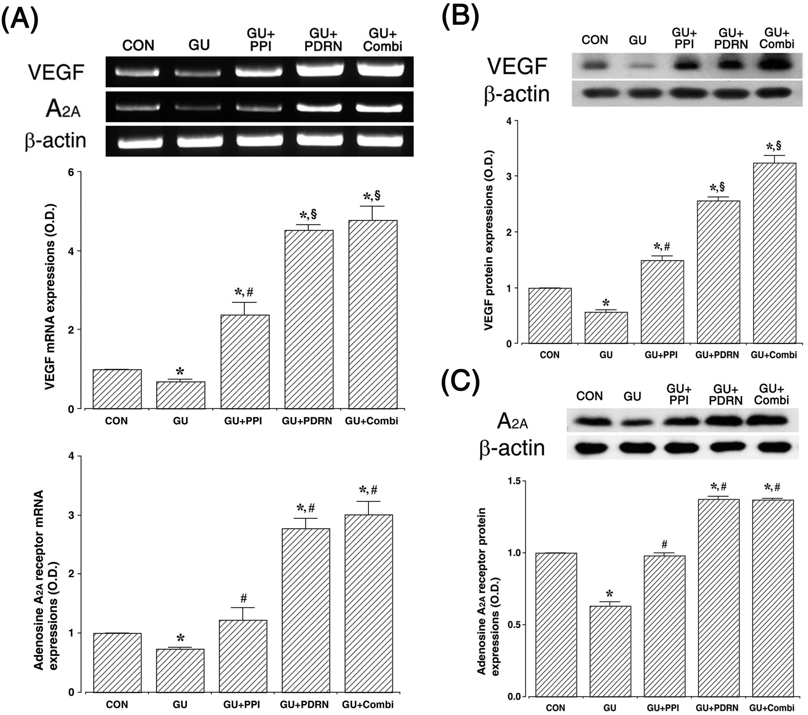 【文献解读】pdrn和质子泵抑制剂联合治疗可提高大鼠