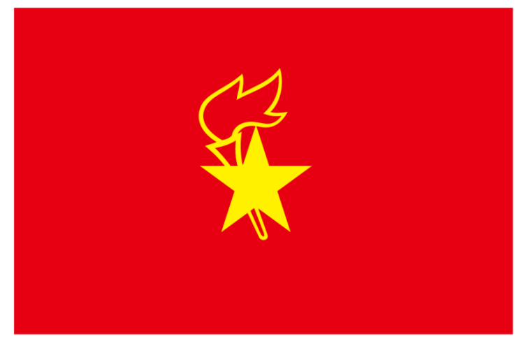 高举队旗 童心向党——中国少年先锋队清丰县和义路小学大队委第一次