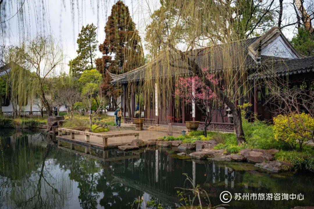最新实拍丨苏州园林赏梅最佳处,园主们早就给你安排好啦!