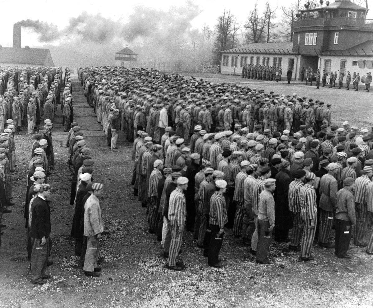 又是如何运作的?_日内瓦公约_法律_文化