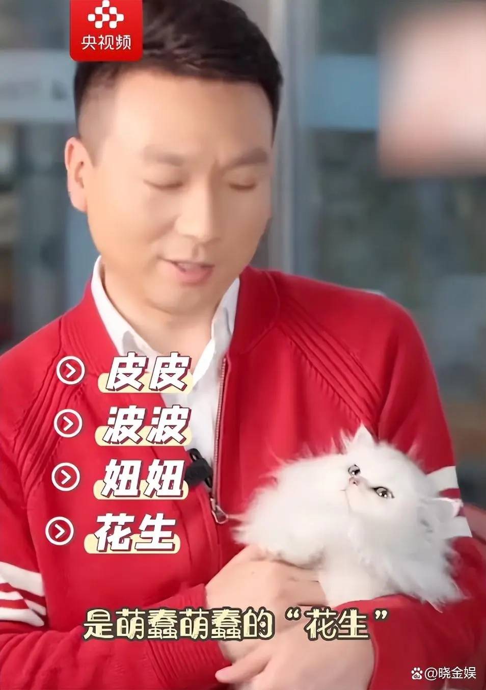 郭志坚:和康辉一样都爱养猫,坦言"自己走到哪宠物猫就跟到哪"_照片