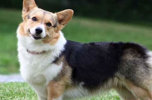 训练_时候_成年人