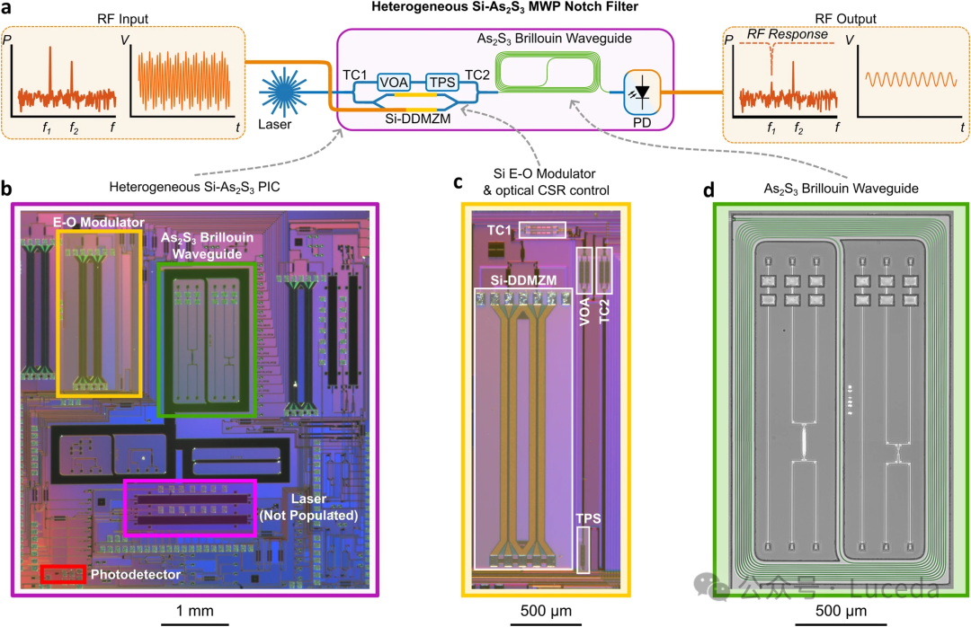 nature更新|悉尼大学成功展示全集成的高分辨率射频光子滤波器_芯片
