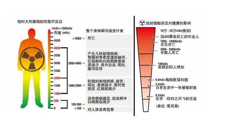 电磁波对人体的危害图片