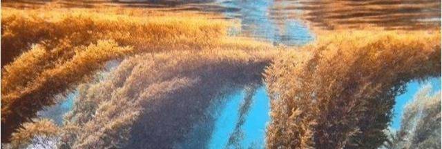 海域_马尾藻_人类