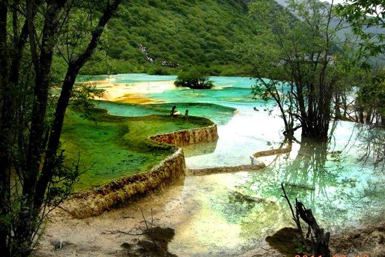 四川黄龙 九寨沟5天4晚旅游报价,四川旅行社定制游向导推荐_美食_游客