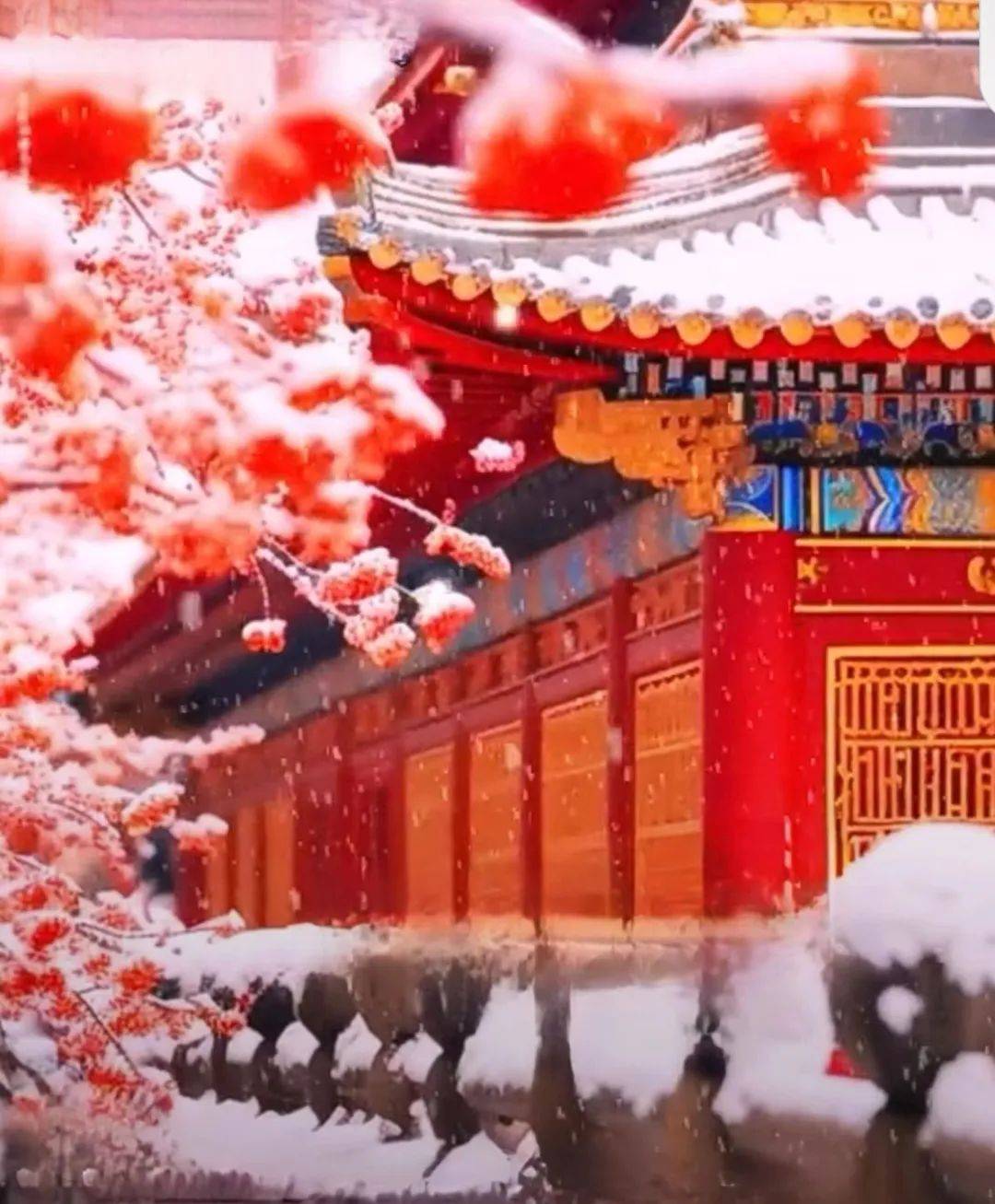 24,大寒大雪极寒四九天 ,冰封家院让人巅,梅兰绽放知