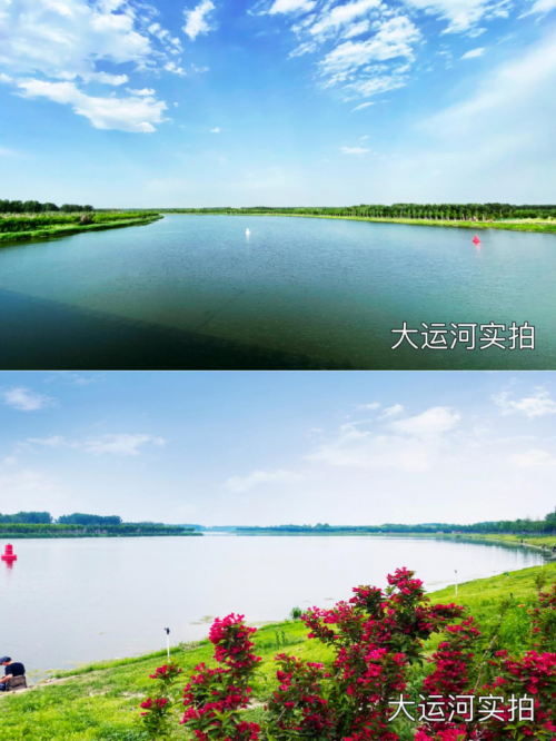 获"长城杯"建筑奖 建筑界的"奥斯卡奖"郎府书苑是目前西集开发规模最