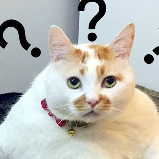 云养"表情包"——|||试问看到这样软萌毛茸茸还漂亮的猫咪,谁不想拥有