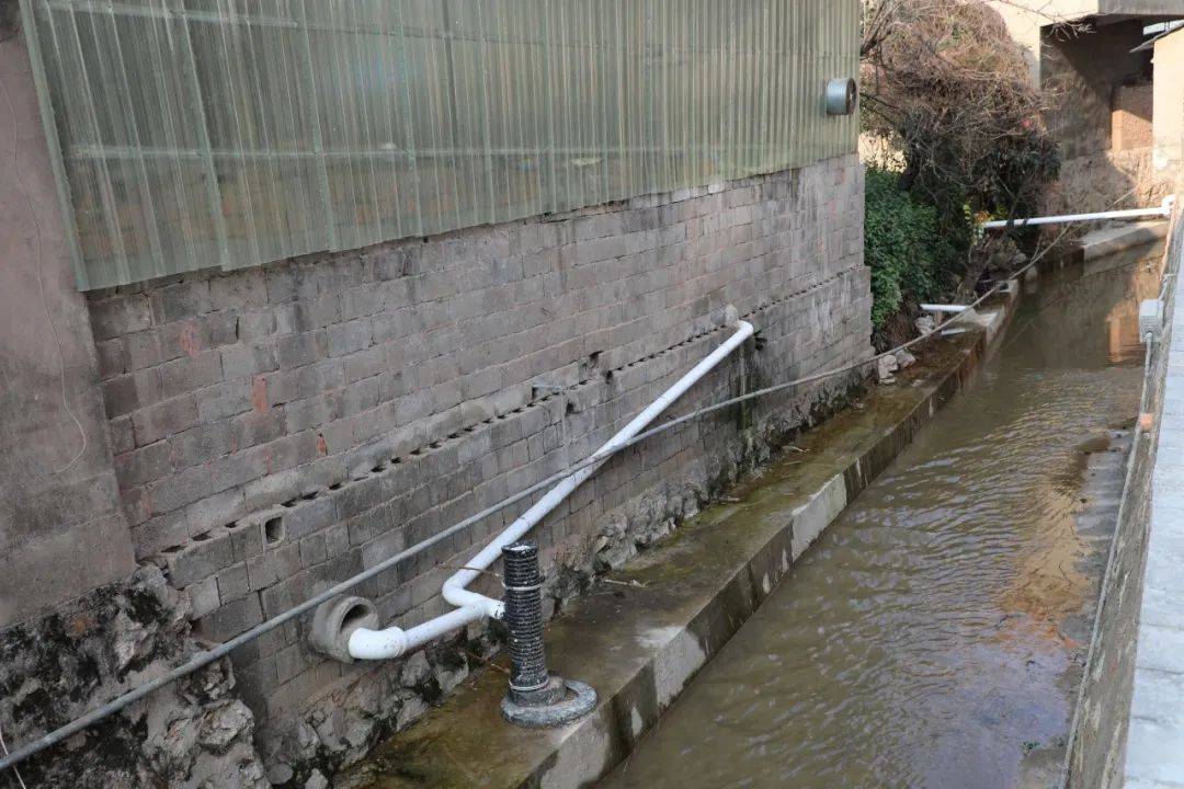 杨林镇全力推动水环境治理工作_河道_生活_污水