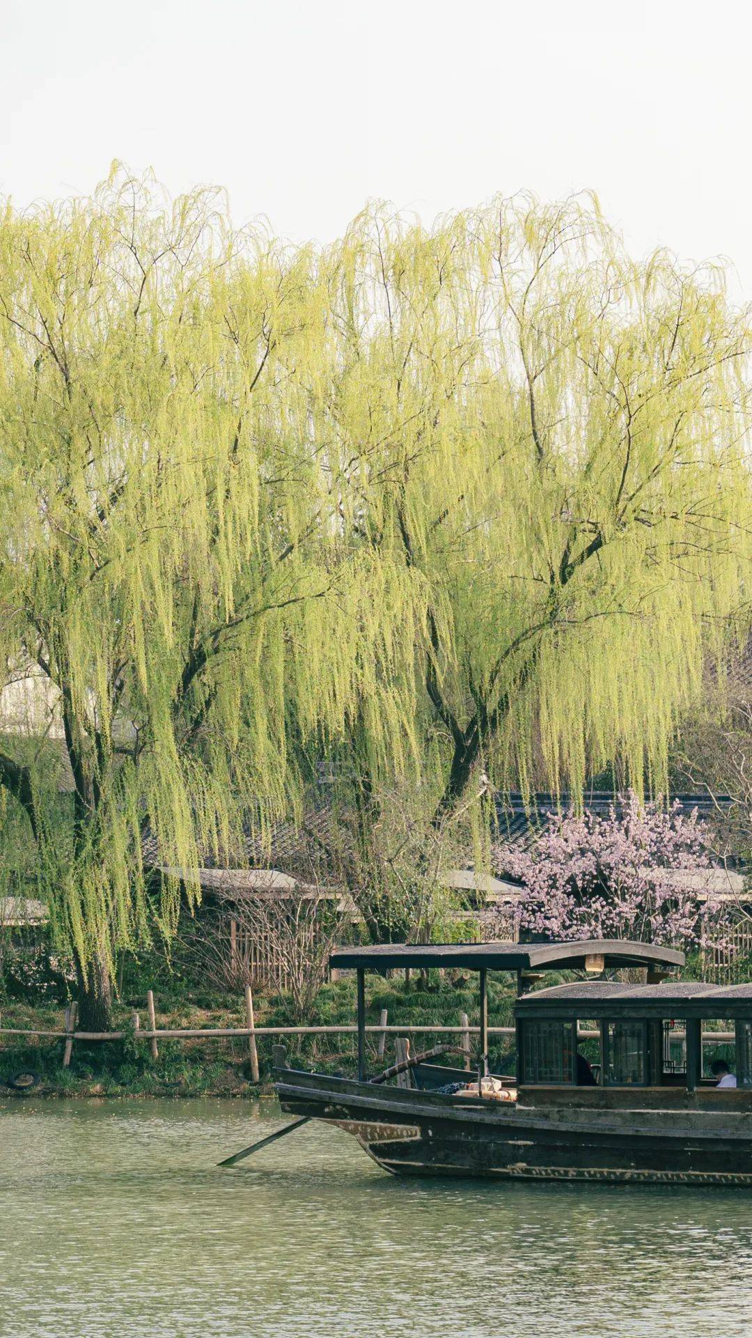 二月里,万物复苏,春和景明.二月天的乌镇,拂堤杨柳醉春烟.