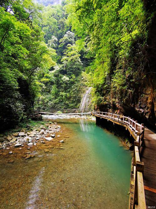 重庆旅游团4日游费用,跟团到黑山谷四天路线攻略_行程_美景_城市