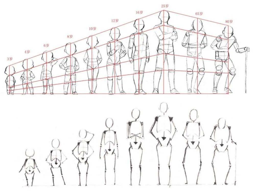 男女性_绘画_个头