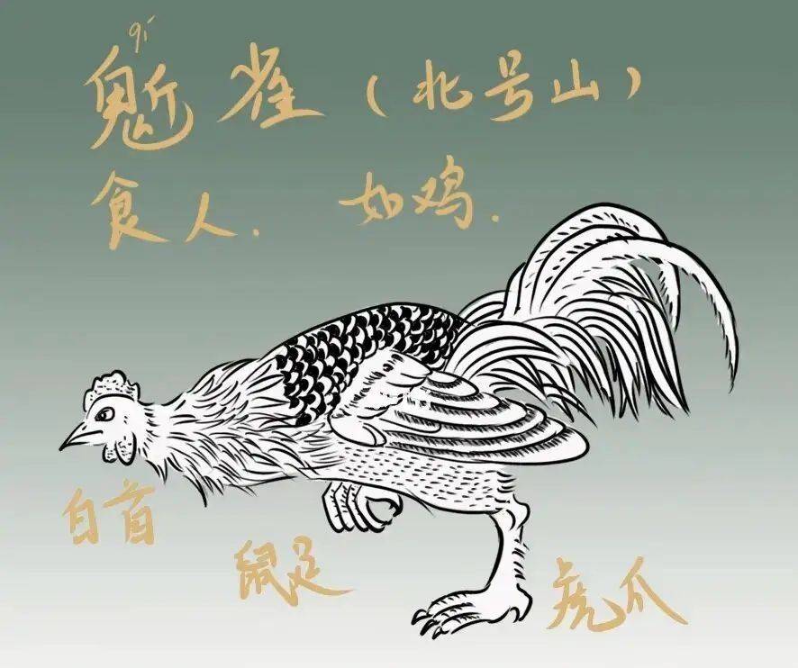 妄想山海新宠物鬿雀图片