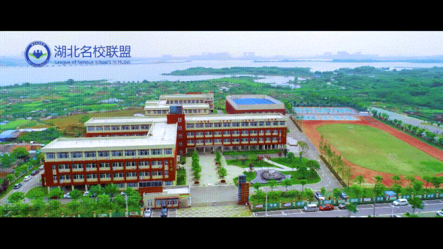 青春校园|《武汉市蔡甸区南湖小学》_教育_办学_道路